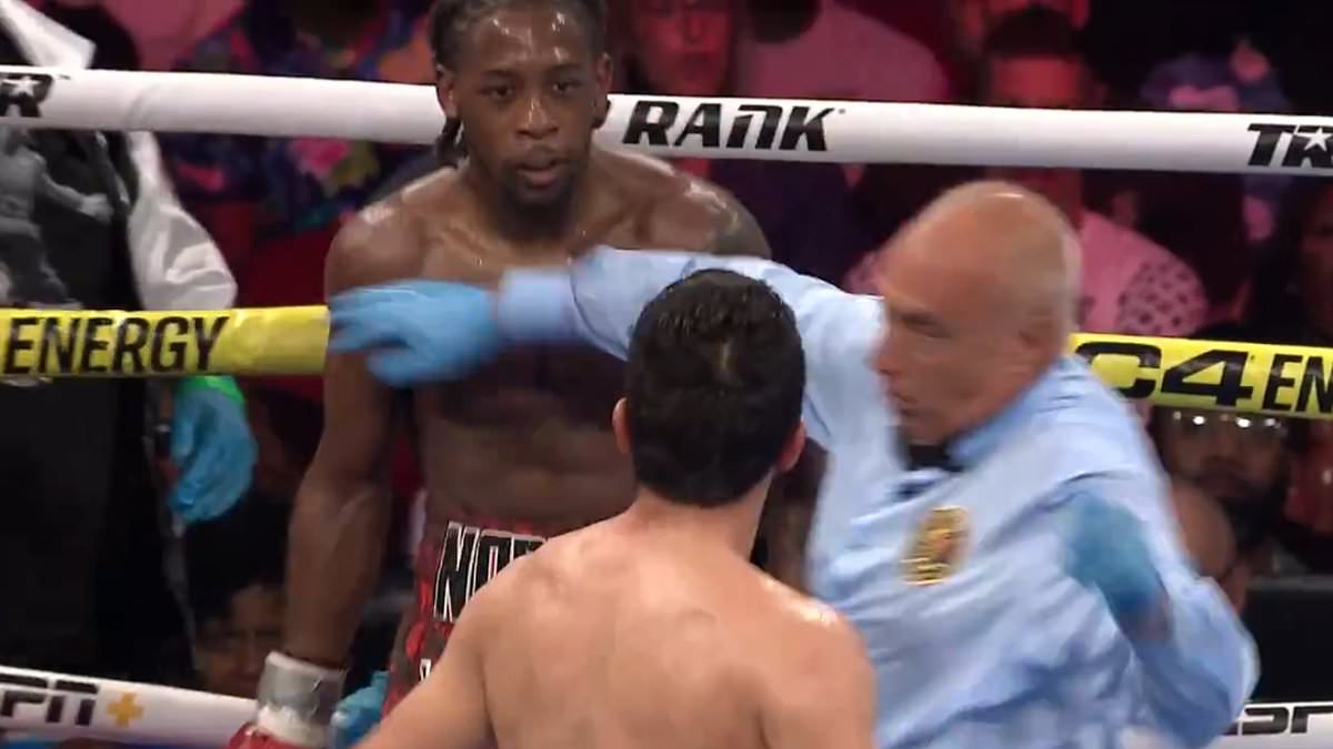 Referee Takes Accidental Punch in Intense Boxing Matchup Between Keyshawn Davis and Miguel Madueno at Prudential Center in New Jersey