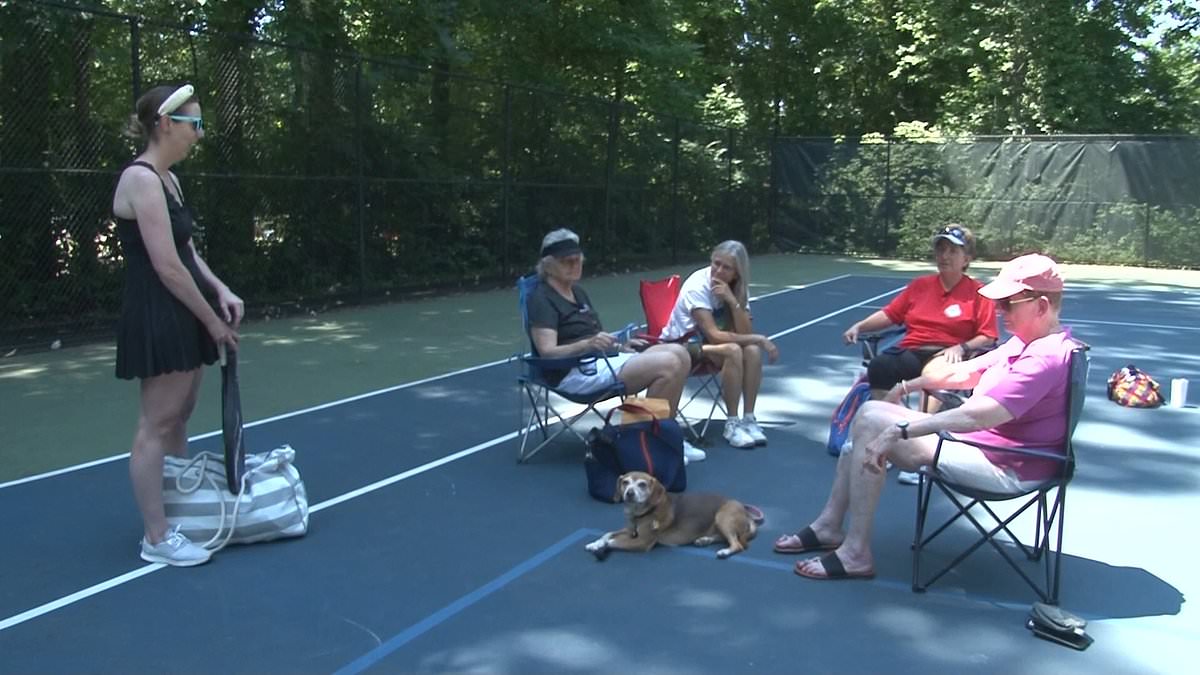 Pickleball Players Stage Protest Against Court Closure by Fairfax County Park Authority in Annandale, Virginia