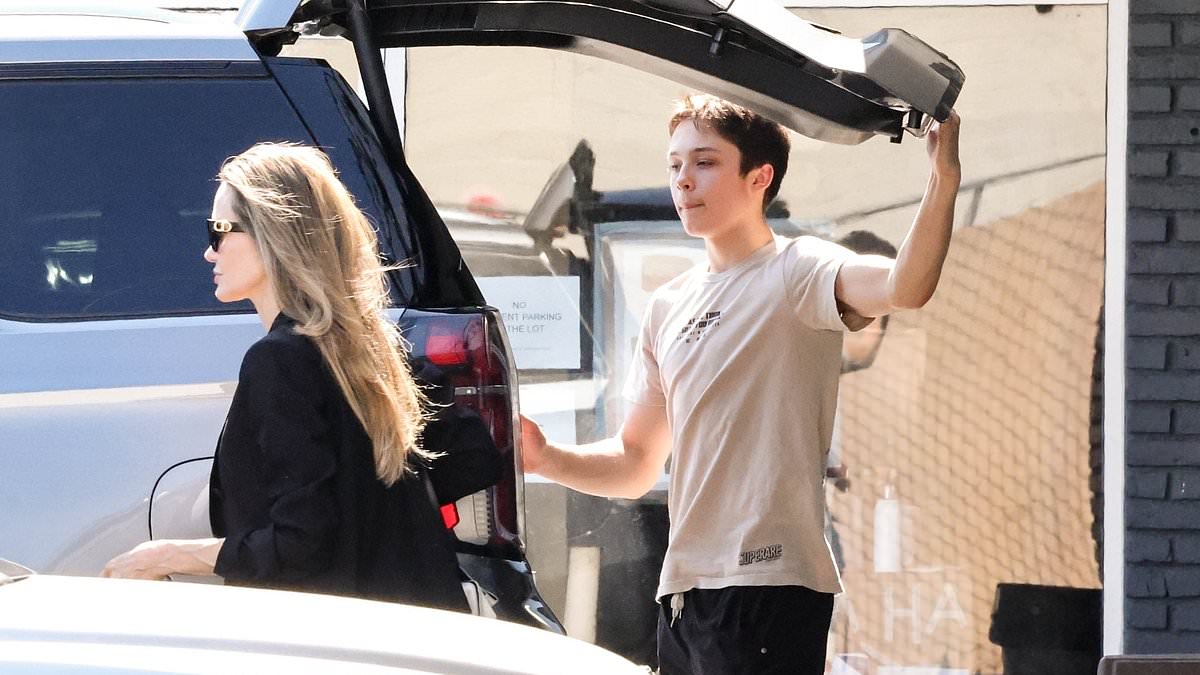 Angelina Jolie Treats Son Knox to a Stylish Pet Store Shopping Spree Amid Ongoing Legal Battle with Brad Pitt in Los Angeles