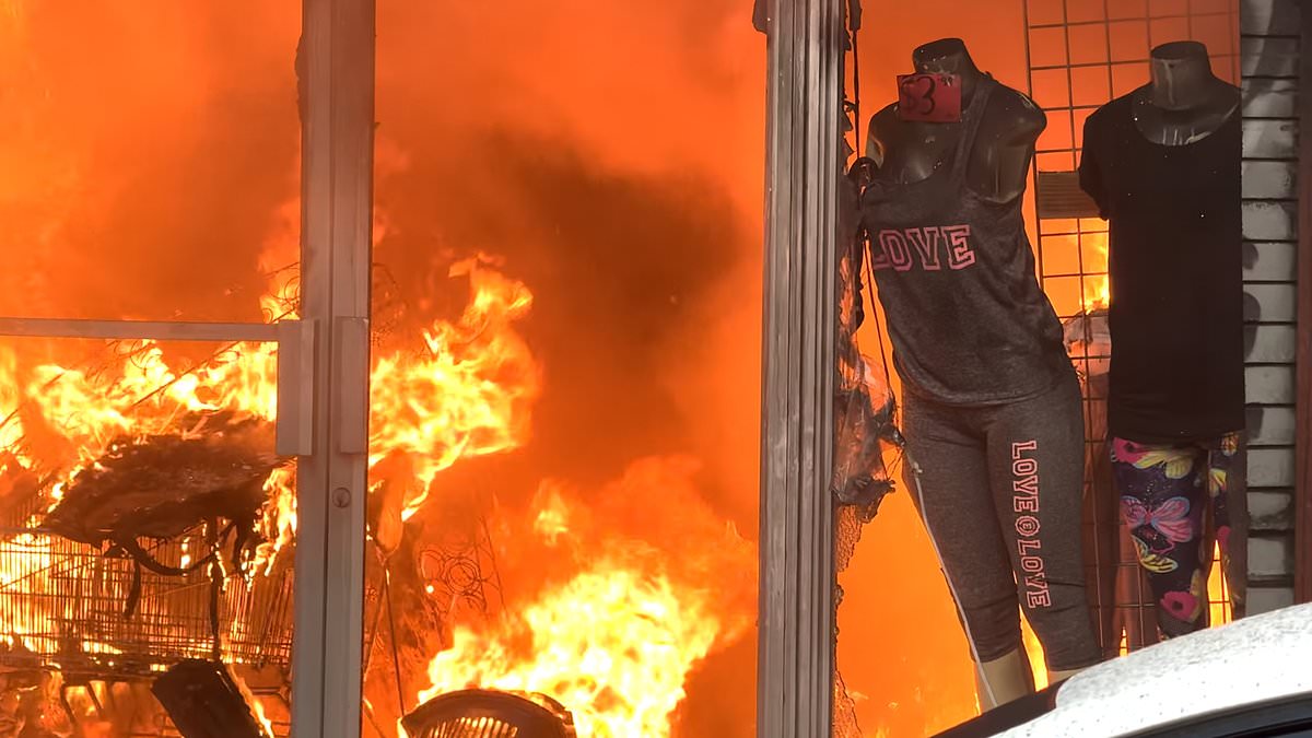 Firefighters in New York City Break Windows of Honda Sedan to Access Blocked Fire Hydrant During Bronx Blaze