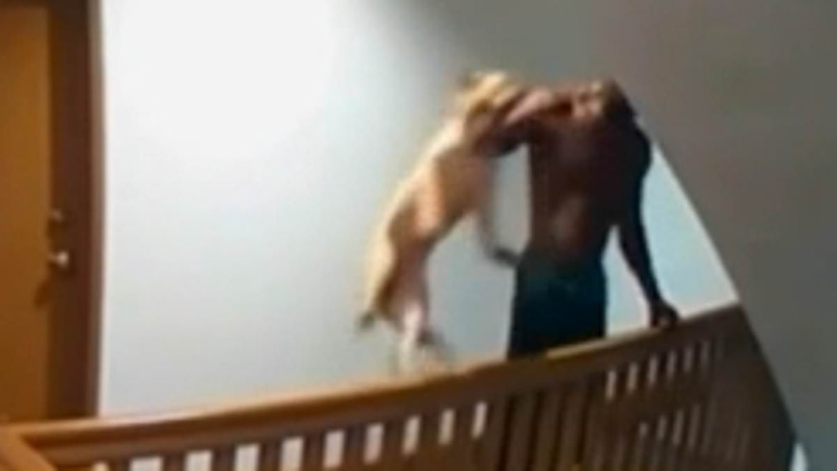 Los Angeles Man Arrested for Cruelly Tossing Puppy Over Apartment Stairwell, Sparks Outcry